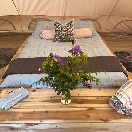 Bluebell Tent At Ballyward Croft Ardkeen Luaran gambar