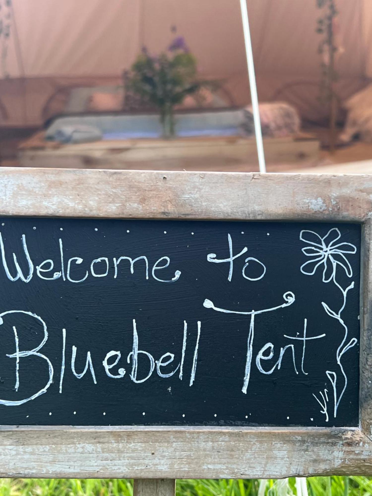Bluebell Tent At Ballyward Croft Ardkeen Luaran gambar