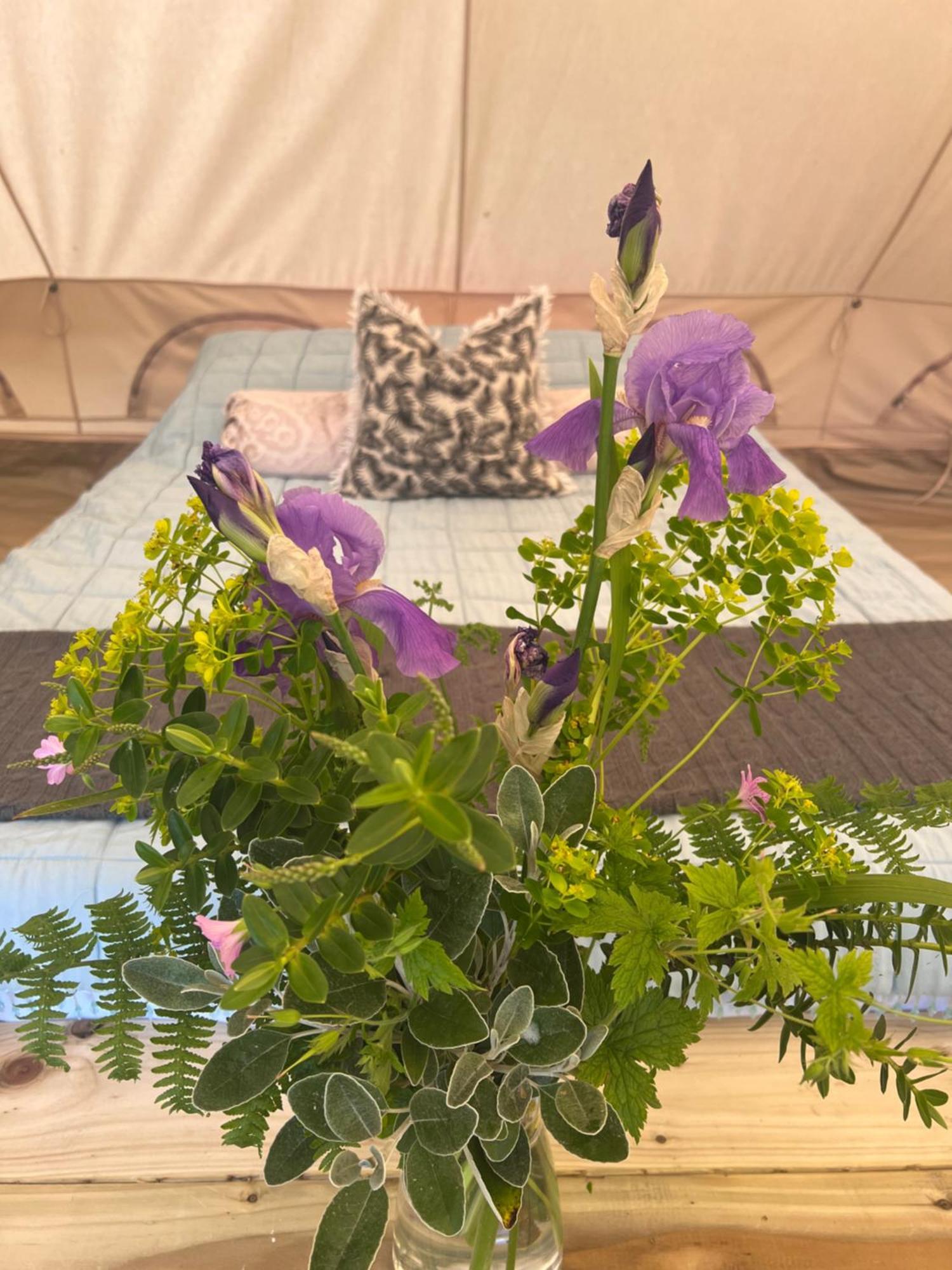 Bluebell Tent At Ballyward Croft Ardkeen Luaran gambar
