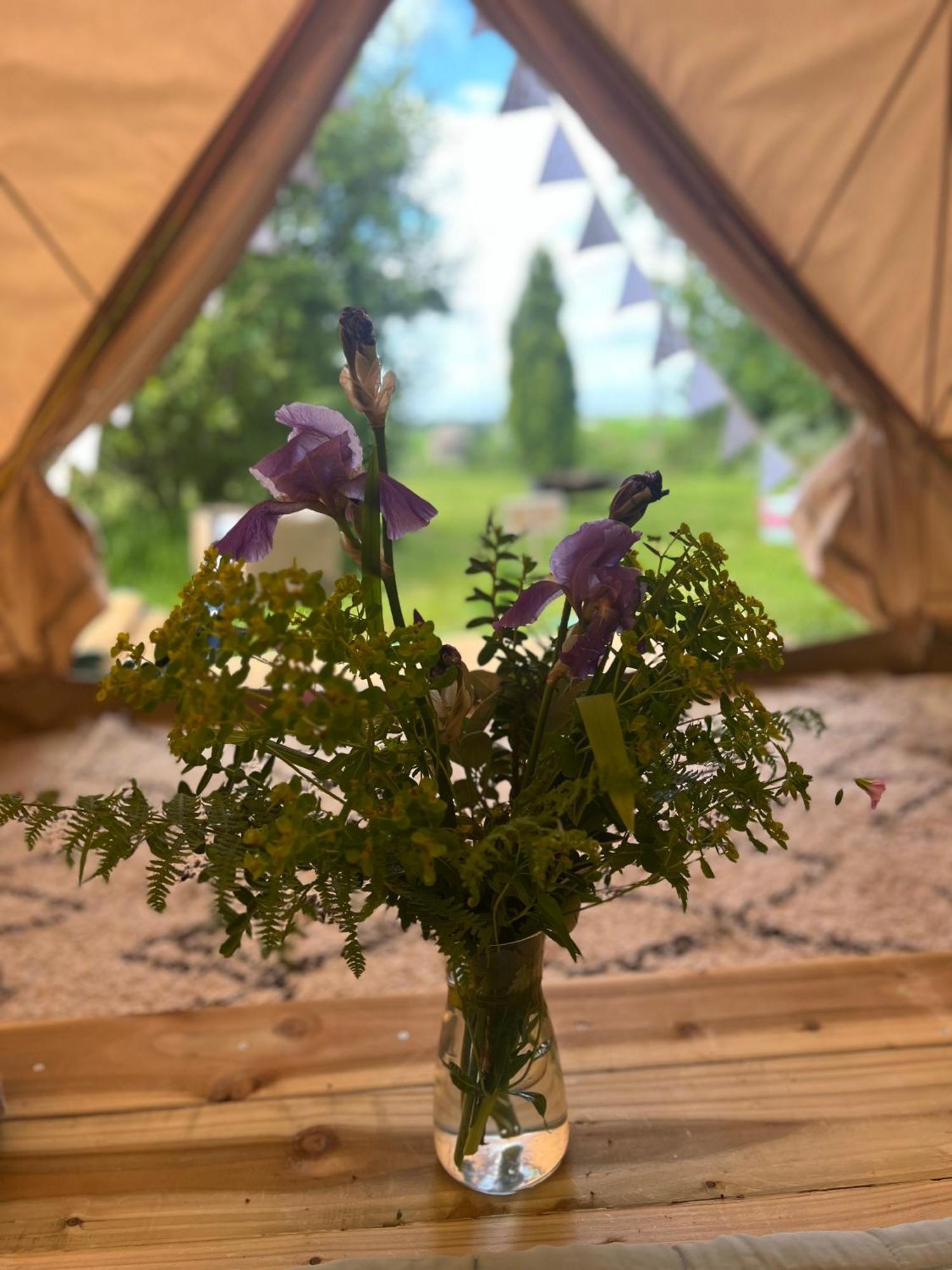 Bluebell Tent At Ballyward Croft Ardkeen Luaran gambar
